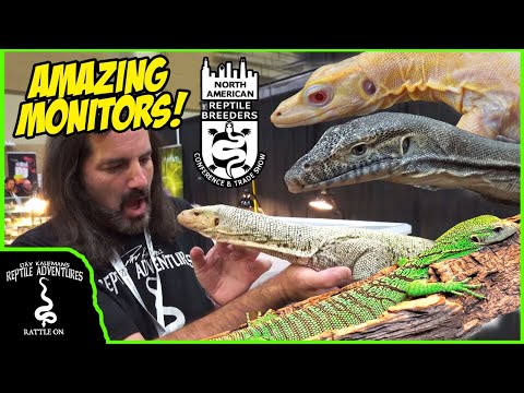 Видео: ЛУЧШИЕ ВАРАНЫ МАРТА ТИНЛИ-ПАРК NARBC 2024!