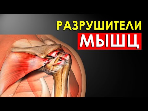 Видео: Что Разрушает Мышцы?