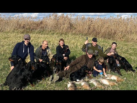 Видео: Открытие ОХОТЫ на зайца 2023 УДАЧНО