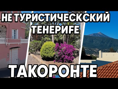 Видео: Тенерифе нетуристический Такоронте