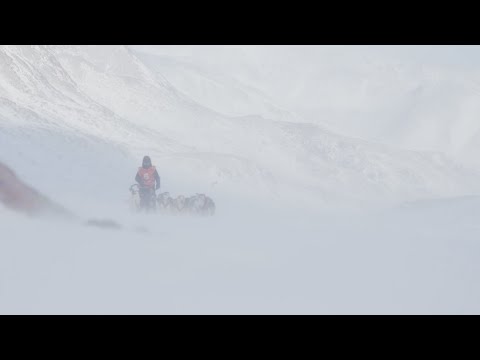 Видео: Берингия - 2022. 13-14 этапы