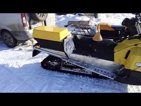 Видео: Динго и Тундра сравнение