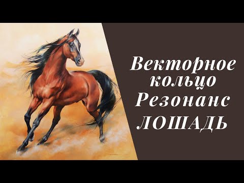 Видео: Векторное кольцо. Резонанс. Лошадь.