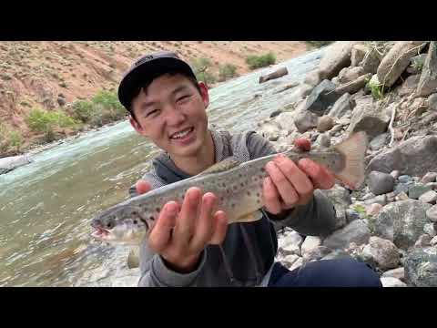 Видео: Форелевый тур с Go Fishing. Trout time. Рыбалка на горную форель. Сусамыр. Кокомерен.