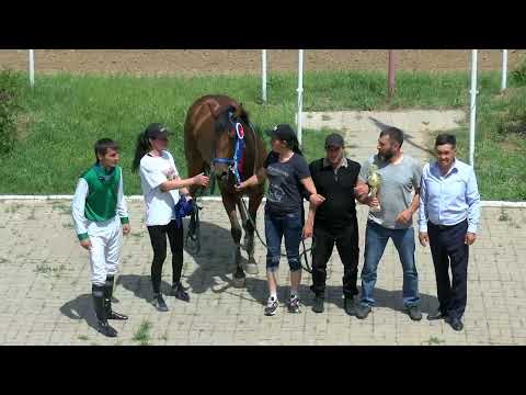 Видео: Элистинский ипподром 28 05 2023