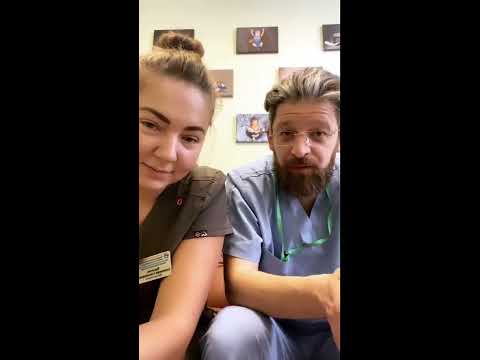 Видео: Интервью с доктором Цурцумия. Запись эфира
