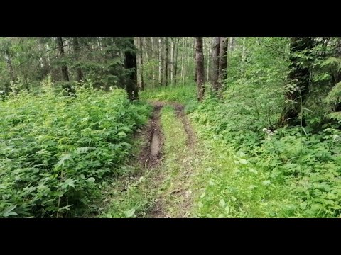 Видео: Разведка тропы или как я нашёл небитое место