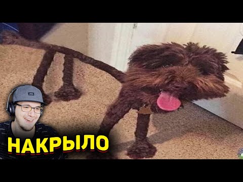 Видео: ЗАСМЕЯЛСЯ - ПРОИГРАЛ ► ЛУЧШИЕ ПРИКОЛЫ ( УЛЫБНУЛИСЬ ПРОИГРАЛИ СОЮЗ СМЕХА ) | Реакция