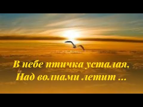Видео: В небе птичка усталая