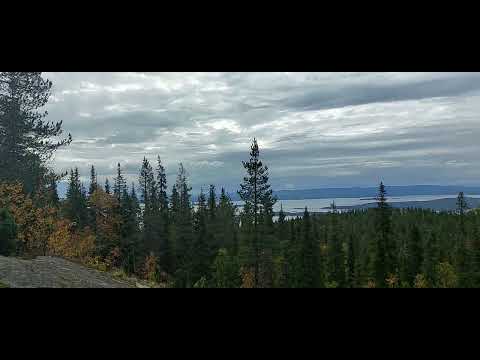 Видео: Осенняя прогулка на Волосяную