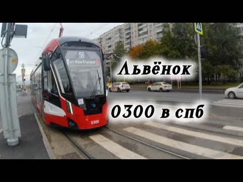 Видео: ЛЬВЁНОК В СПБ