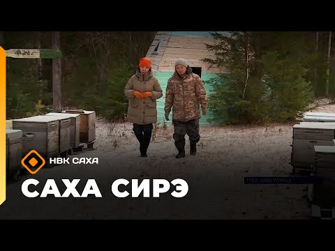 Видео: «Саха сирэ» информационнай биэрии. Алтынньы 22 күнэ 20:30