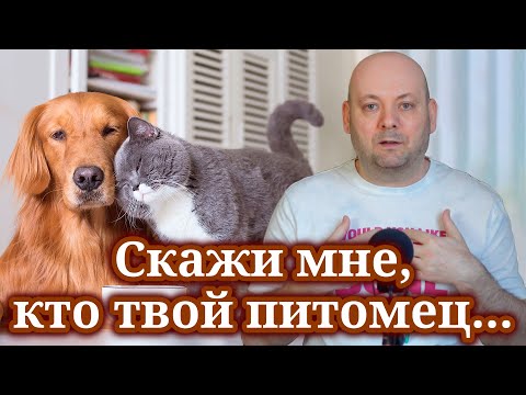 Видео: ЧТО ГОВОРИТ О ВАС ВЫБОР ПИТОМЦА: Психологический Разбор