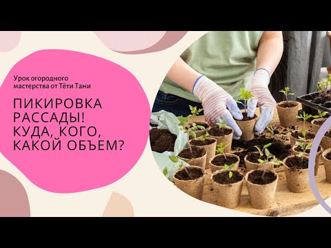 Видео: Пикируем, куда, кого, какой объем.