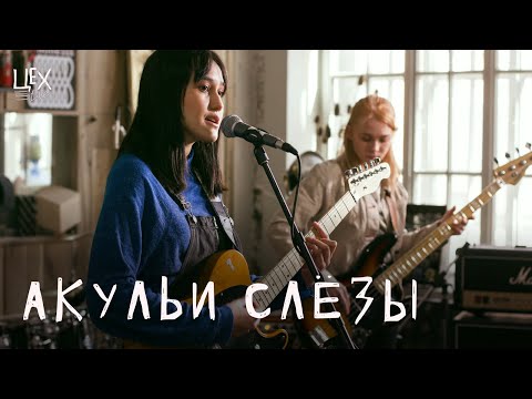 Видео: акульи слёзы: Цех live