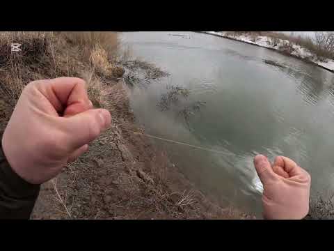 Видео: Рыбалка в Караганде 2025г. Ловля хищника кастингом. Casting fishing. Река Нура.