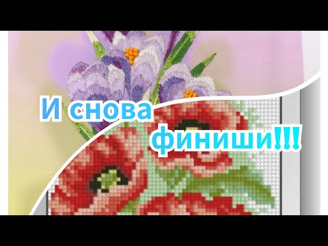 Видео: И снова финиши!!!! Ответы на вопросы ТЭГа "Алмазное хранилище", канала "Тигр в алмазах".