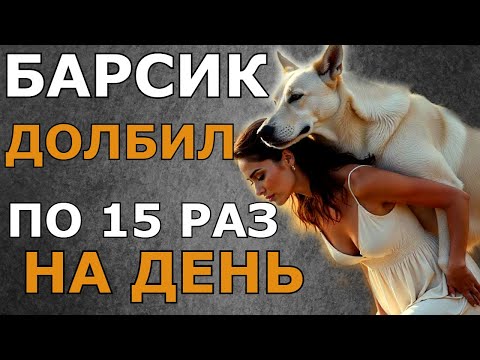 Видео: У МУЖА НЕ ПОЛУЧАЛОСЬ НО БАРСИК РЕШИЛ ПРОБЛЕМУ