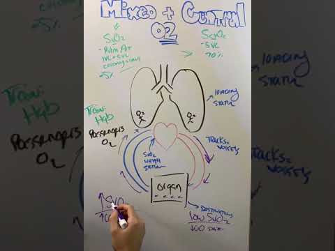 Видео: Смешанный и центральный венозный O2