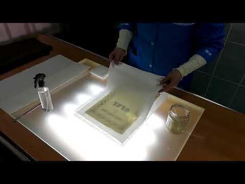 Видео: Методика восстановления целостности документов методом доливки бумажной массой