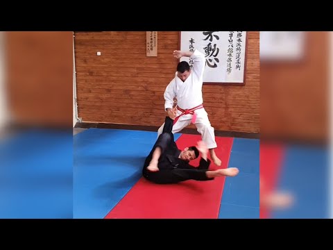 Видео: КОТЭ ГАЕШИ (видеоурок)