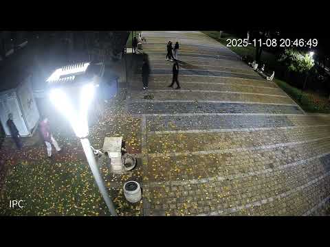 Видео: Непълнолетни лица се оказаха извършителите на вандалския акт в градския парк на Ботевград