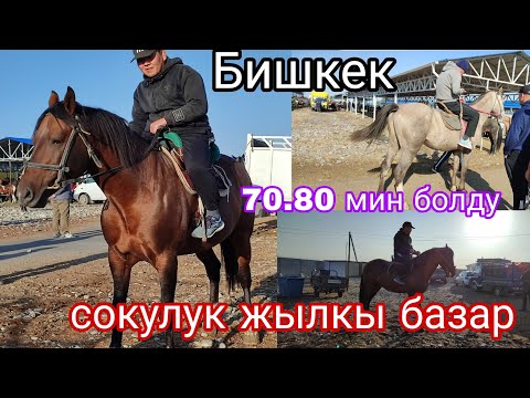 Видео: 20-СЕНТЯБРЬ БИШКЕК БАЗАРДА ЖЫЛКЫ АРЗАН БОЛДУ 