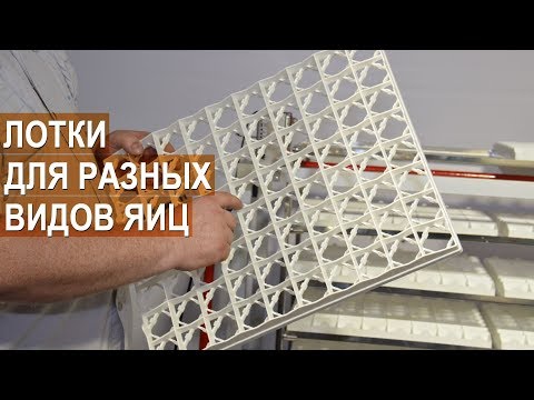 Видео: Разные виды лотков для инкубации яиц. Инкубаторы серии MultiLife, Бориса Кравчик