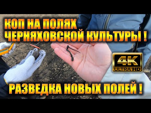 Видео: Коп на полях ЧК! Разведка новых полей!