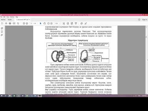 Видео: ЖРТга даярдоо 2020 (Ментор окуу борбору)