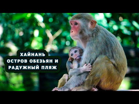 Видео: Остров обезьян на Хайнане и Радужный пляж