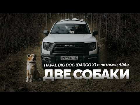 Видео: Две собаки | Отзыв о HAVAL BIG DOG (dargo X) | Знакомство с Айбо | Первый выезд сезона