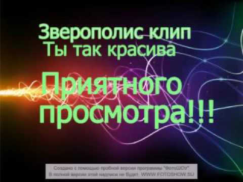 Видео: Зверополис клип ты так красива (2)