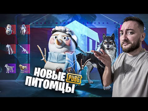 Видео: Самый ДОРОГОЙ снеговик в моей жизни. PUBG MOBILE