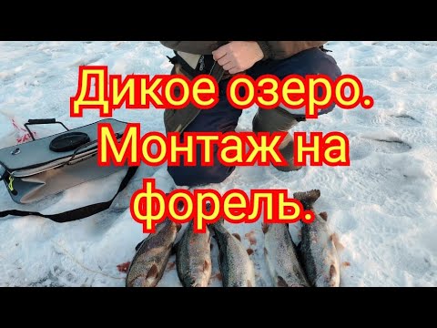 Видео: Рыбалка близ Алматы. Дикое озеро. Монтаж на форель, подводим итоги года. Планы на 2025 год.