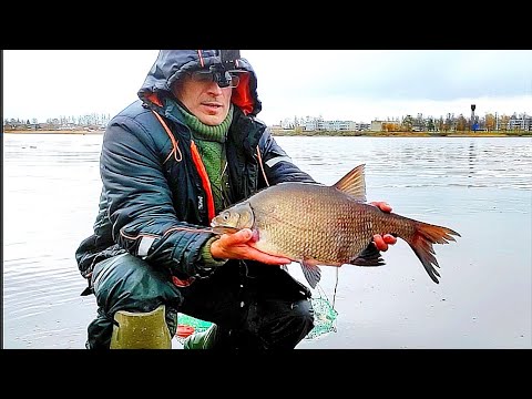 Видео: ЛЕЩИ ЗА 2КГ . НОЧНАЯ ЛОВЛЯ ЛЕЩА  . РЫБАЛКА С НОЧЕВКОЙ И ПАЛАТКОЙ .