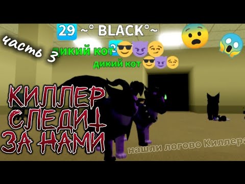 Видео: Игра с котятами. Киллер следит за нами! Нашли логово Киллера! 3 ЧАСТЬ