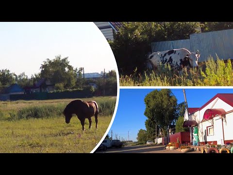 Видео: Г. Аткарск. Вышла на ул. Энгельса с ул. Пролетарской.