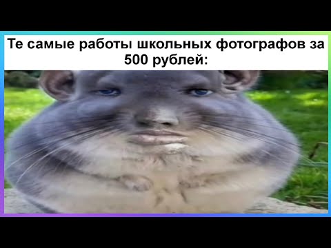 Видео: Тик ток фотограф | Подборка мемов