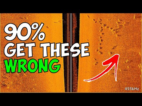 Видео: 5 самых распространенных ошибок при поиске рыбы (которые совершают большинство рыболовов)