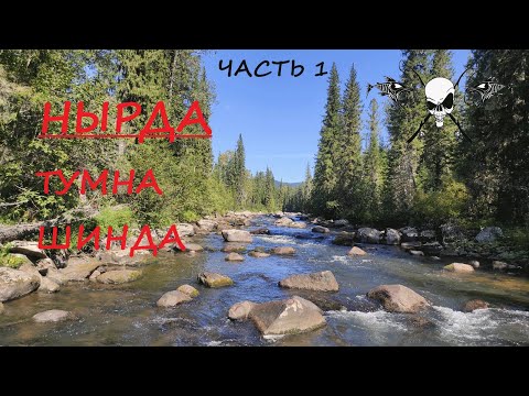 Видео: Хариус на р. Нырда, Тумна, Шинда. Часть 1.