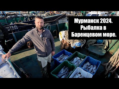 Видео: Мурманск 2024. Рыбалка в Баренцевом море.