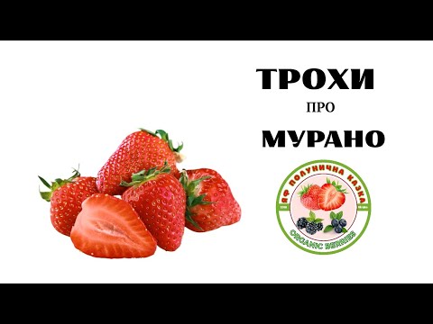 Видео: НА ТРУБАХ САДИЛИ ВПЕРШЕ! РЕЗУЛЬТАТ ХОРОШИЙ 