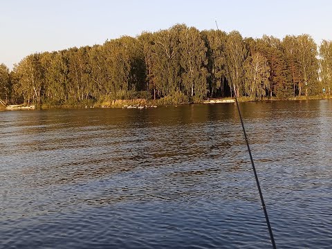 Видео: Рыбалка 29.07.23 Белоярское водохранилище, окунь на спиннинг