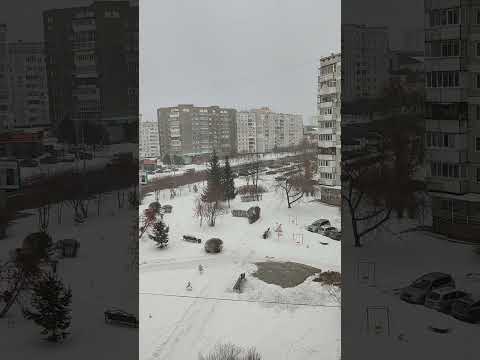 Видео: Молитва Оптинских Старцев!#осень #великие изречения#молитва#