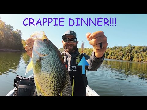 Видео: Ловля КРАППИ на УЖИН на ЖИВОГО ПЕСКА и поплавок! (ПРОСТАЯ РЫБАЛКА!)