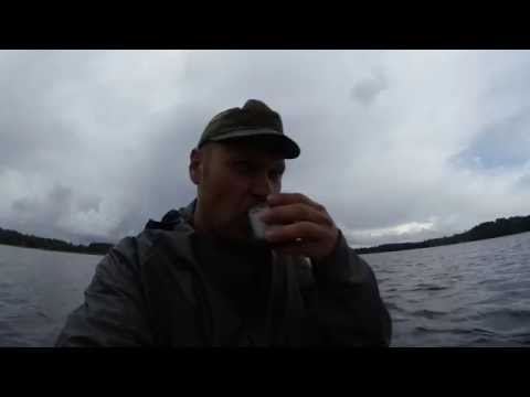 Видео: TROLLING DAUGAVA  Даугава на дорожку на даугаве