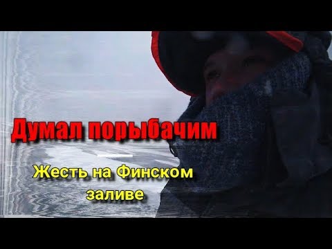 Видео: Думал порыбачим, а оказалось... Жесть на Финском заливе