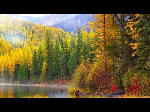 Видео: Петр Деунов - Музыка - Паневритмия - Части 23, 24 и 25