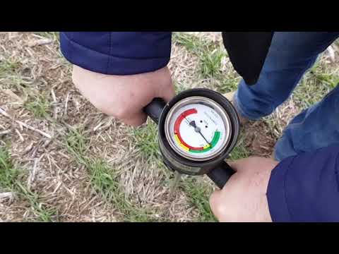 Видео: Всё об уплотнении почвы при No-till . 06.03.2019 No-till Состояние почвы и посевов